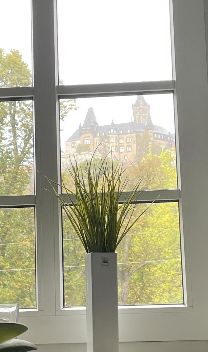 Haus Kreuzberg Mit Schlossblick Apartment Wernigerode Ngoại thất bức ảnh